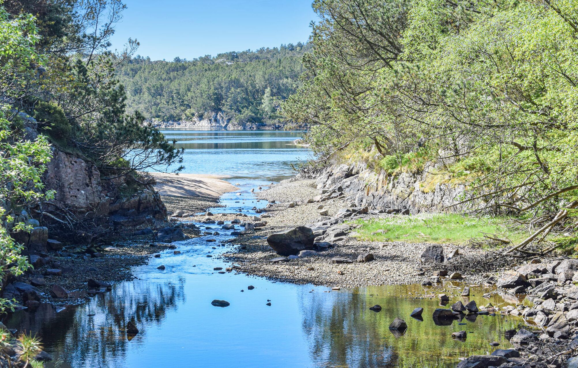 A natural landscape with a river, rocky shore, and dense forest.