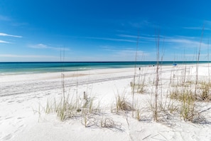 A beach with clear skies, sandy shore, and sparse vegetation.