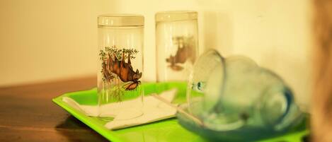 Two glass containers with images of trees and a horse on a green tray.