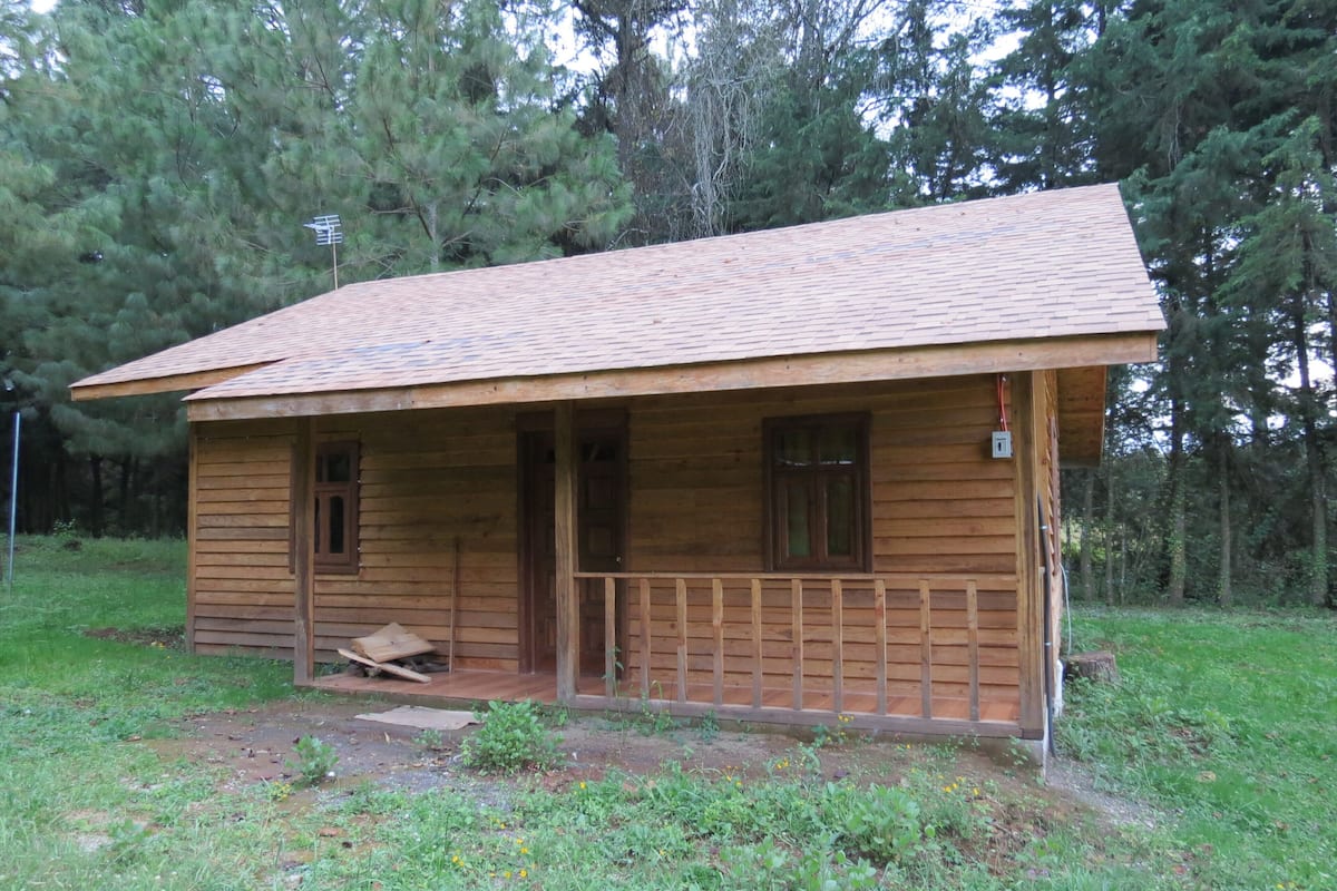 Family Cabin | View from room