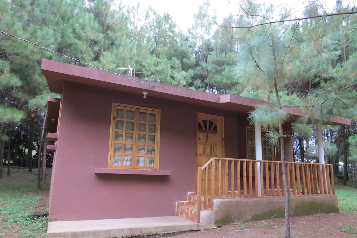 Traditional Cabin | View from room