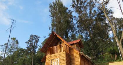 Viña Real Cabañas Rotamundos