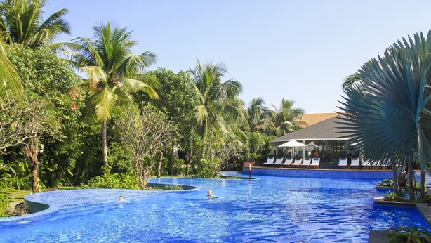 Una piscina de borde curvo, rodeada de palmeras y follaje.