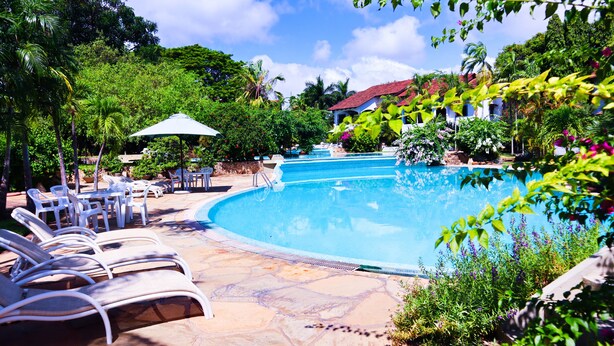 Piscina con sillones de descanso y zona de estar cubierta, rodeada de exuberante vegetación y un cielo despejado.