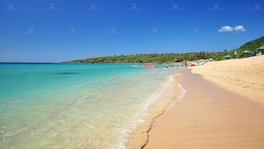 Ein Strand mit klarem türkisblauem Wasser, sandigem Ufer und einer Reihe von Palmen im Hintergrund.