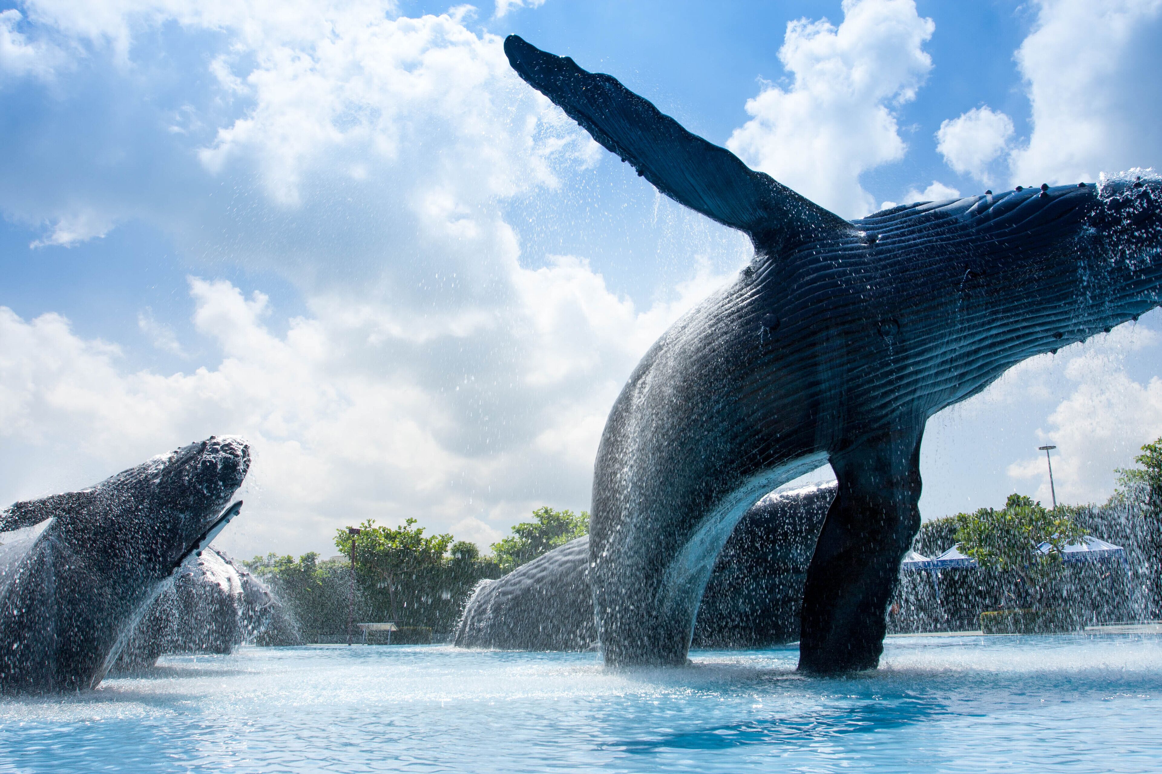 A large whale sculpture in a body of water with a clear sky and trees in the background.
