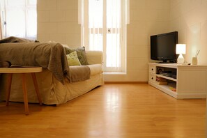 Smart TV, DVD player, books