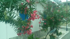 A building with a tiled exterior, a tree with pink flowers, and a sidewalk with small planters. - Pension Gina (Troizinia)