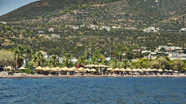 A coastal beach with thatched umbrellas and palm trees, a hillside with buildings, and a calm sea. - Pension Gina (Troizinia)
