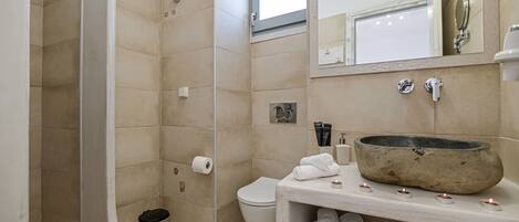 A bathroom with a shower, toilet, and sink with a large basin.