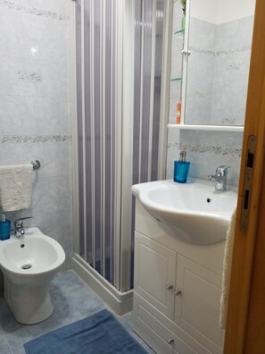 Shower, hair dryer, bidet, towels