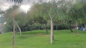 A grassy outdoor area with trees and a line of chairs and tables.