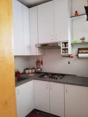 Fridge, oven, stovetop, coffee/tea maker