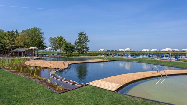 A swimming pool with a wooden deck, surrounded by grass and trees. There are lounge chairs and umbrellas in the background.