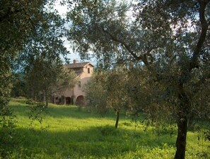Garden - Agriturismo Terrasabina (Poggio Mirteto)