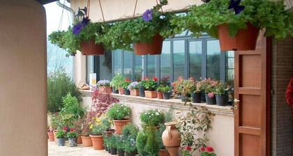 Agriturismo Terrasabina