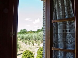 View from room - Agriturismo Terrasabina (Poggio Mirteto)