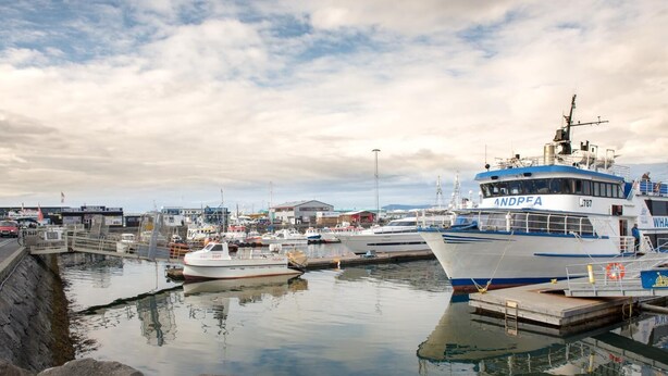 A harbor with boats docked, including a large ship labeled "NDPA" and a smaller white boat. - Scandinavian Apartments (Reykjavik)