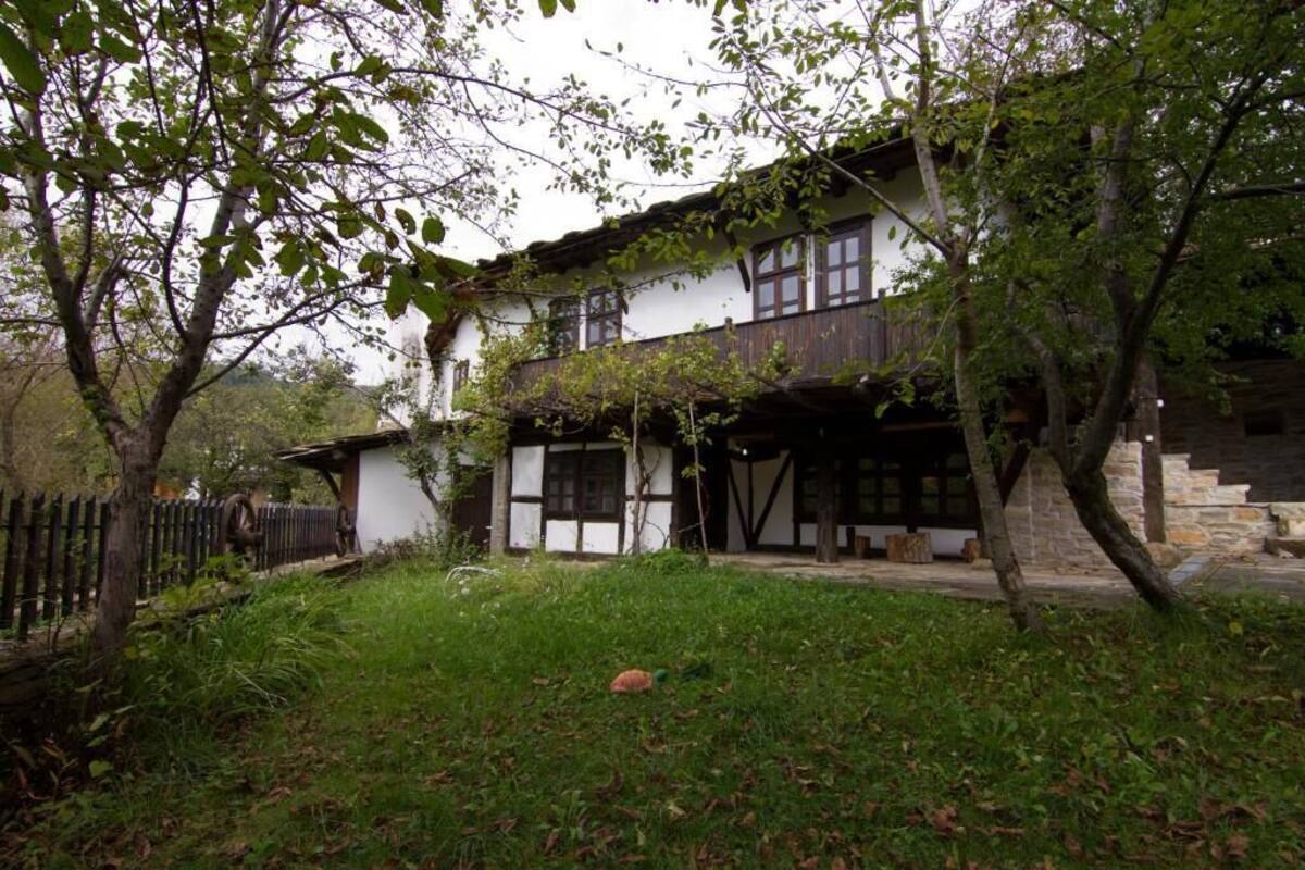 Vista al jardín