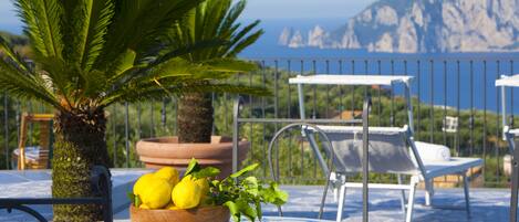 Une table avec un saladier rempli de citrons et une plante en pot, des chaises d’extérieur, et une vue sur la mer et les montagnes.