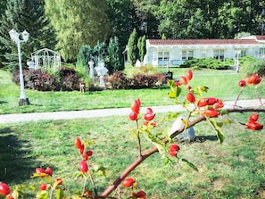 Un jardin avec un sentier, un kiosque et un bâtiment dont le toit est recouvert de tuiles rouges, visible au fond.
