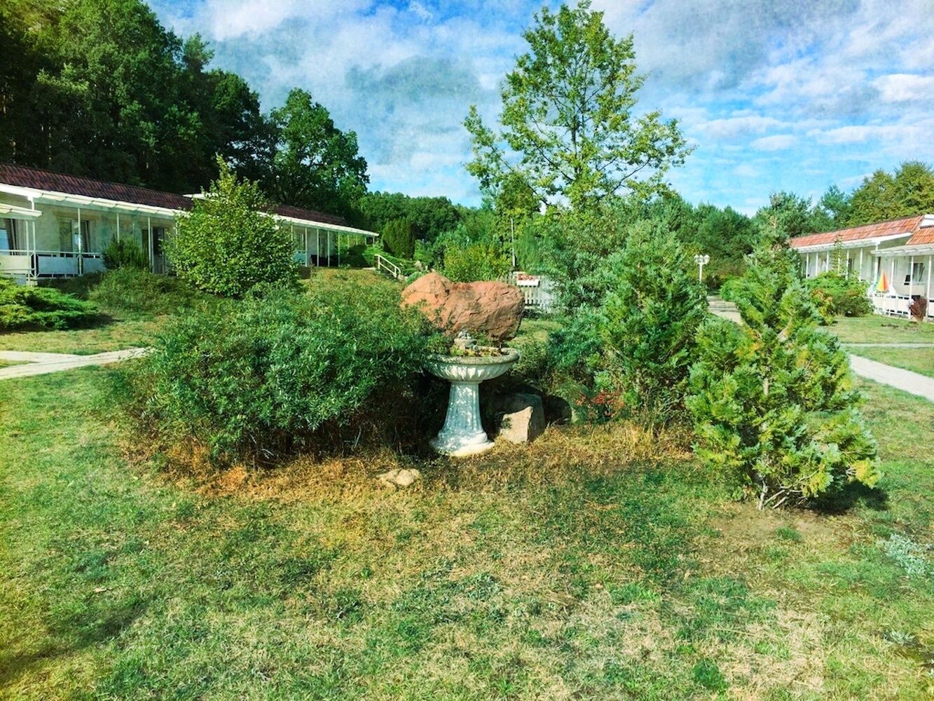 Taman