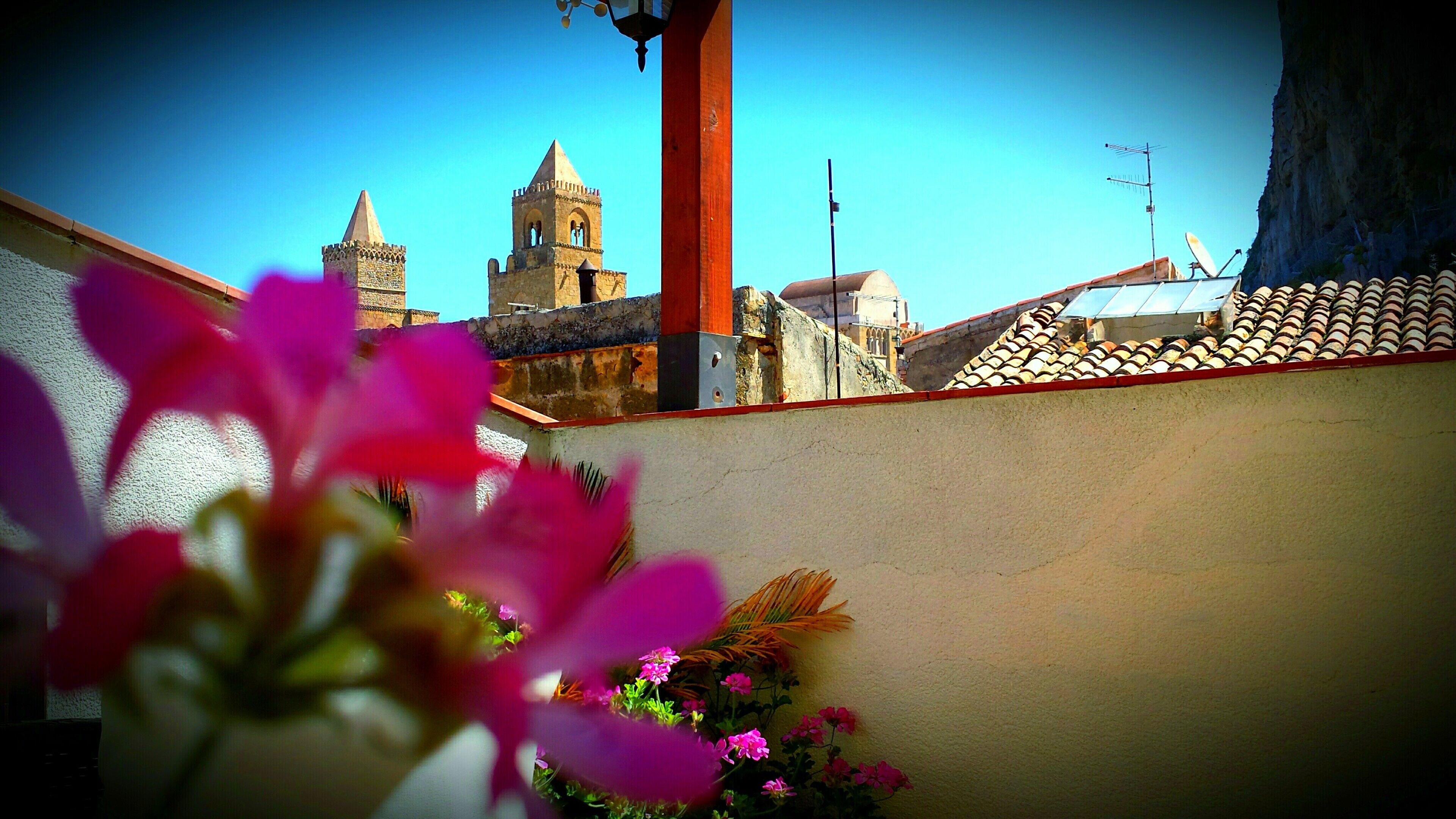 Photo - Bed and Breakfast L&P