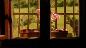 A window with a view of a green landscape and a flower pot. - Tenuta S. Agnese (Montepulciano)