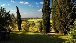 A grassy outdoor area with tall trees and a clear sky. - Tenuta S. Agnese (Montepulciano)
