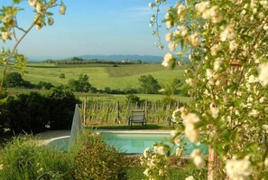Seasonal outdoor pool, pool loungers - Tenuta S. Agnese (Montepulciano)