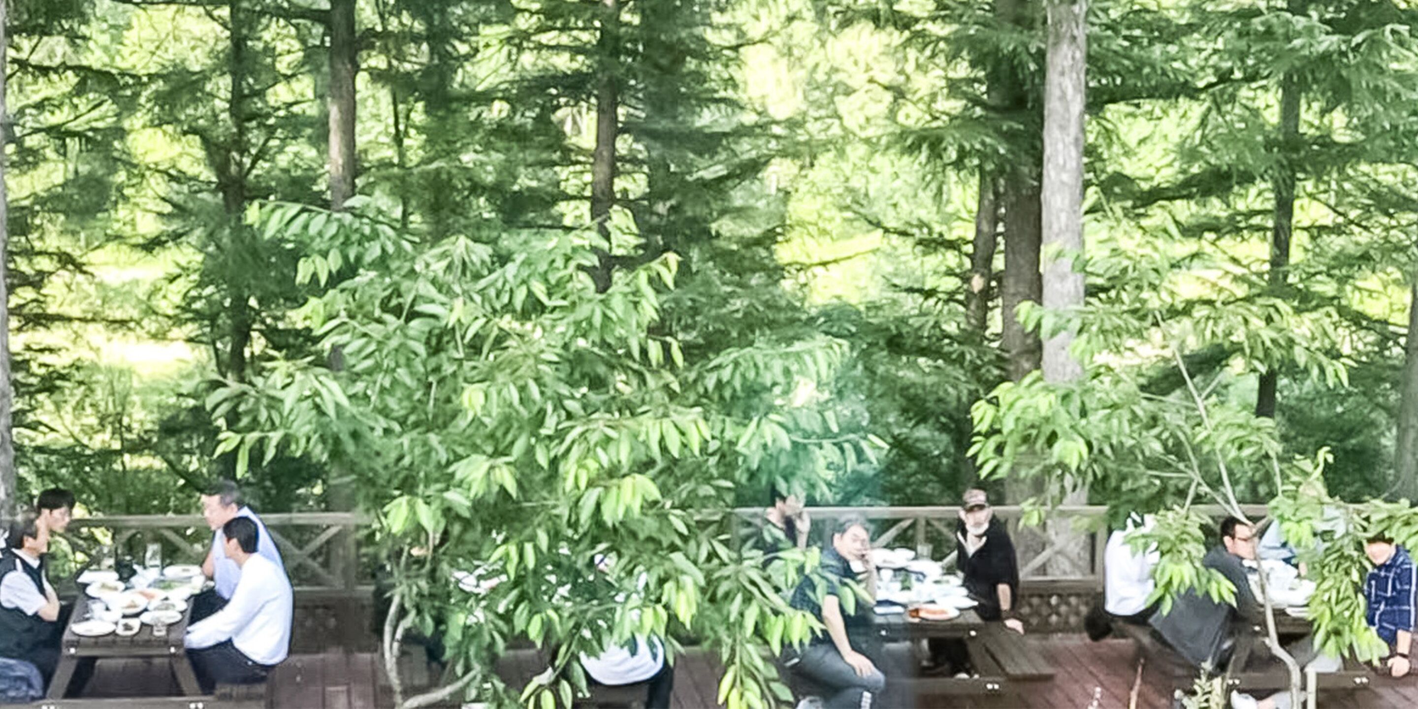 An outdoor dining area with tables and chairs, surrounded by dense green foliage.
