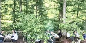 Zona d'aigües amunt per a dinar, amb taules i cadires, envoltada per una vegetació verda abundant.