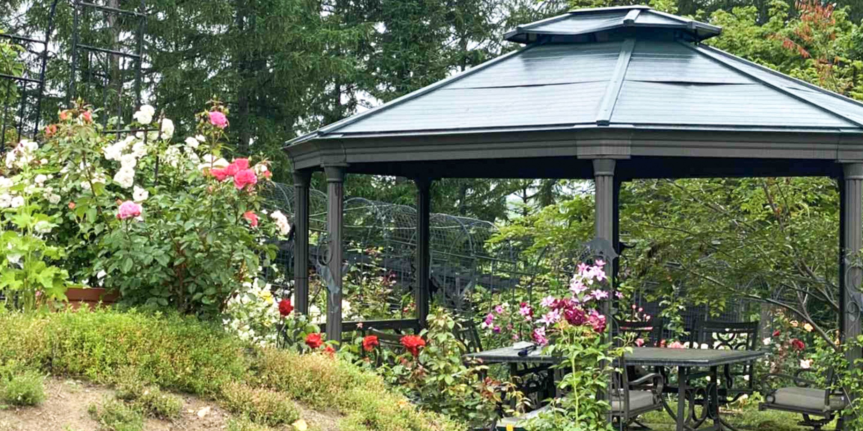 A gazebo with a dark roof and metal frame, surrounded by lush greenery and flowering plants.