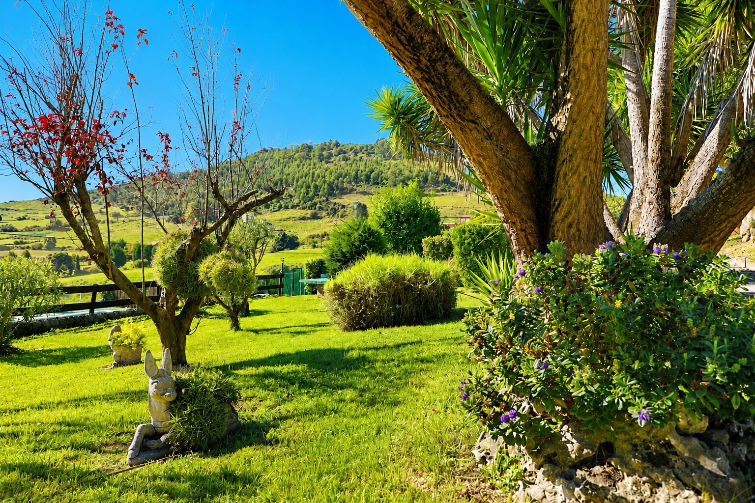 A lush garden with a variety of plants and a bench.