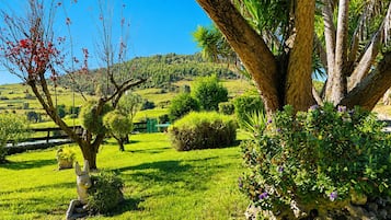 A lush garden with a variety of plants and a bench.
