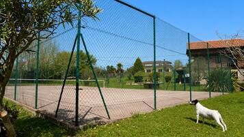 Una cancha de tenis cercada con un perro sobre el césped.