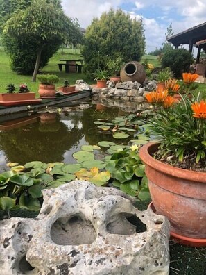 Esterni