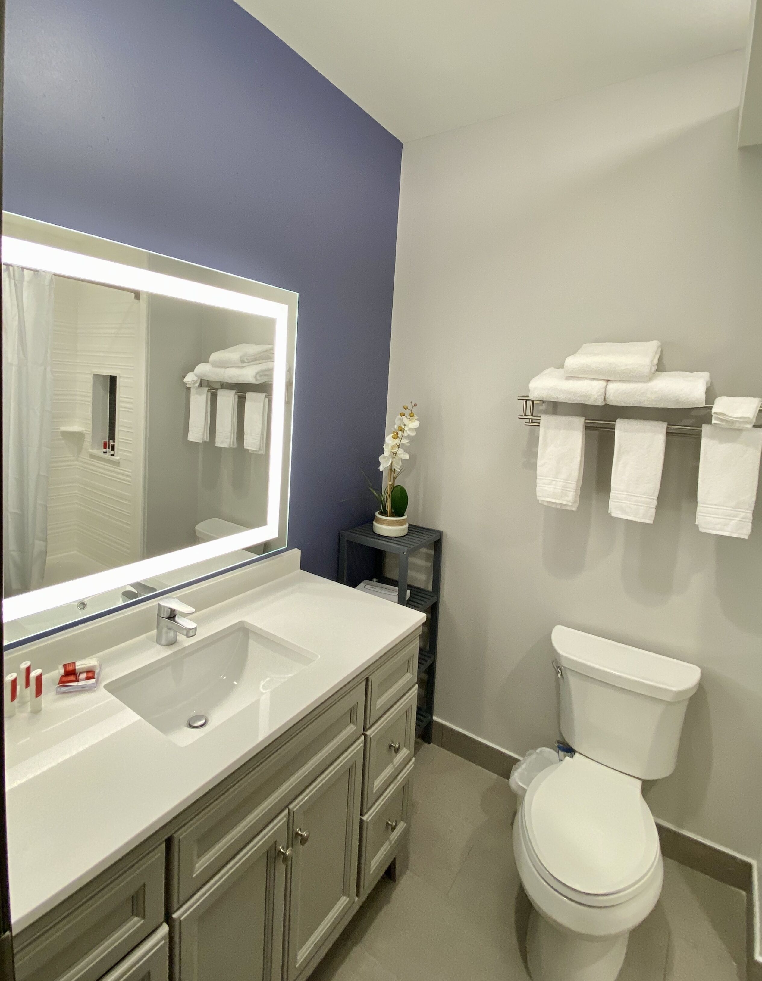 A bathroom with a white sink, mirror, and toilet. There are towels on a rack and a small potted plant on a shelf.
