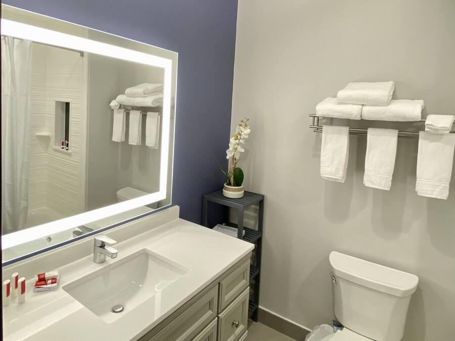 A bathroom with a white sink, mirror, and toilet. There are towels on a rack and a small potted plant on a shelf.