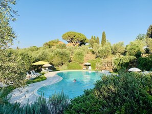 Ein Pool, umgeben von üppigem Grün, mit Liegestühlen und Sonnenschirmen.