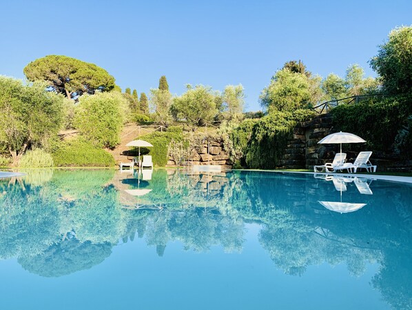 Seasonal outdoor pool, pool umbrellas, pool loungers