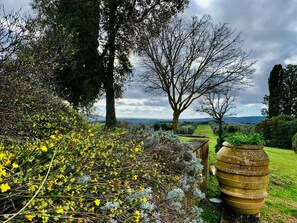 Garden - Tenuta Agricola Fraschiera (Massa Marittima)