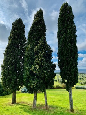 디럭스 아파트, 침실 2개, 간이주방, 정원 | 정원 전망