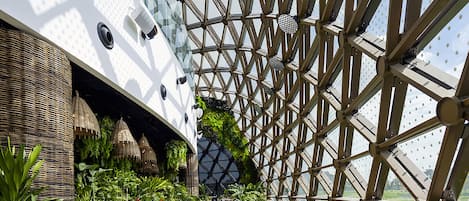 Lokala och internationella rätter