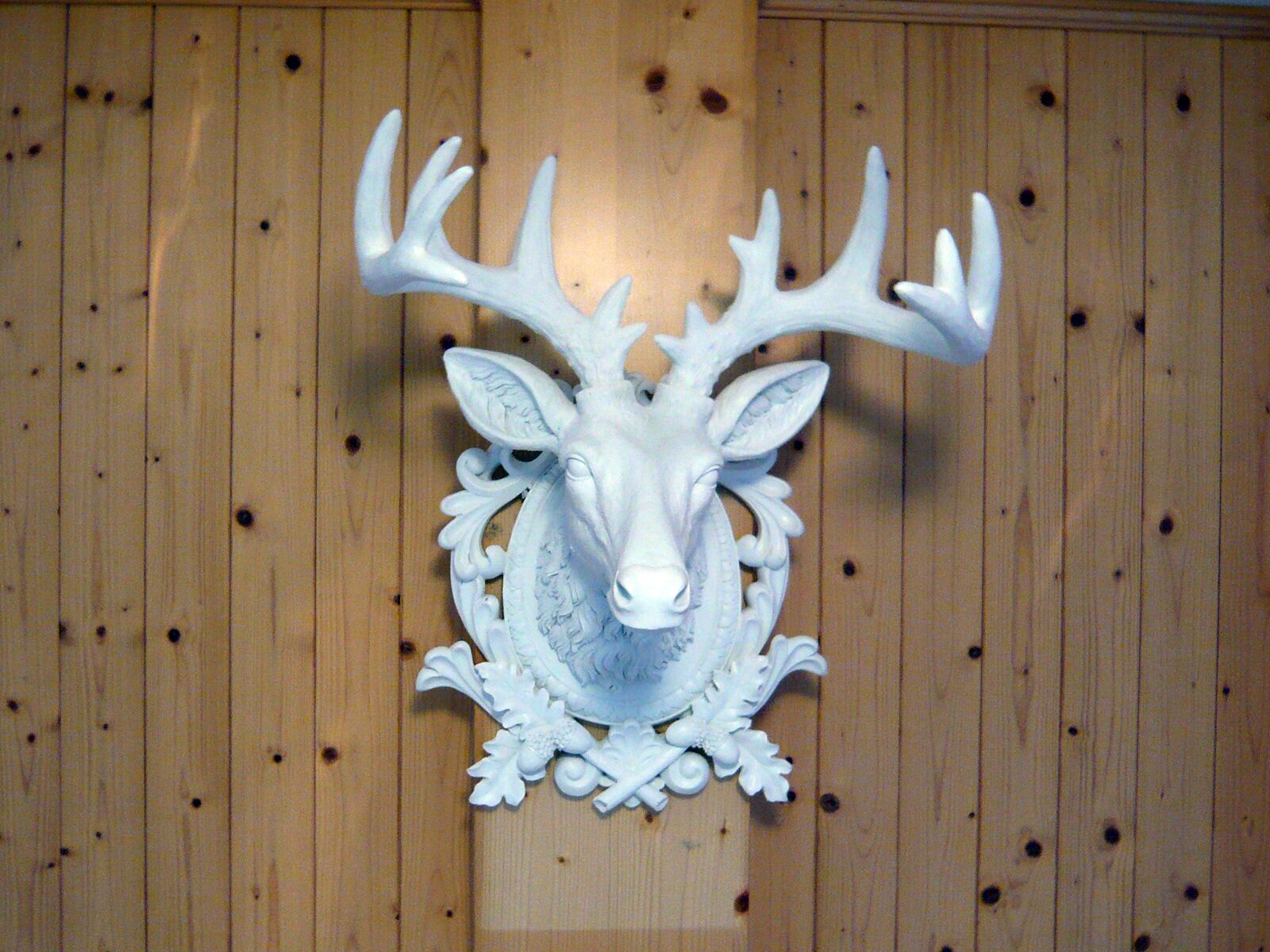 A white deer head mounted on a wooden wall.