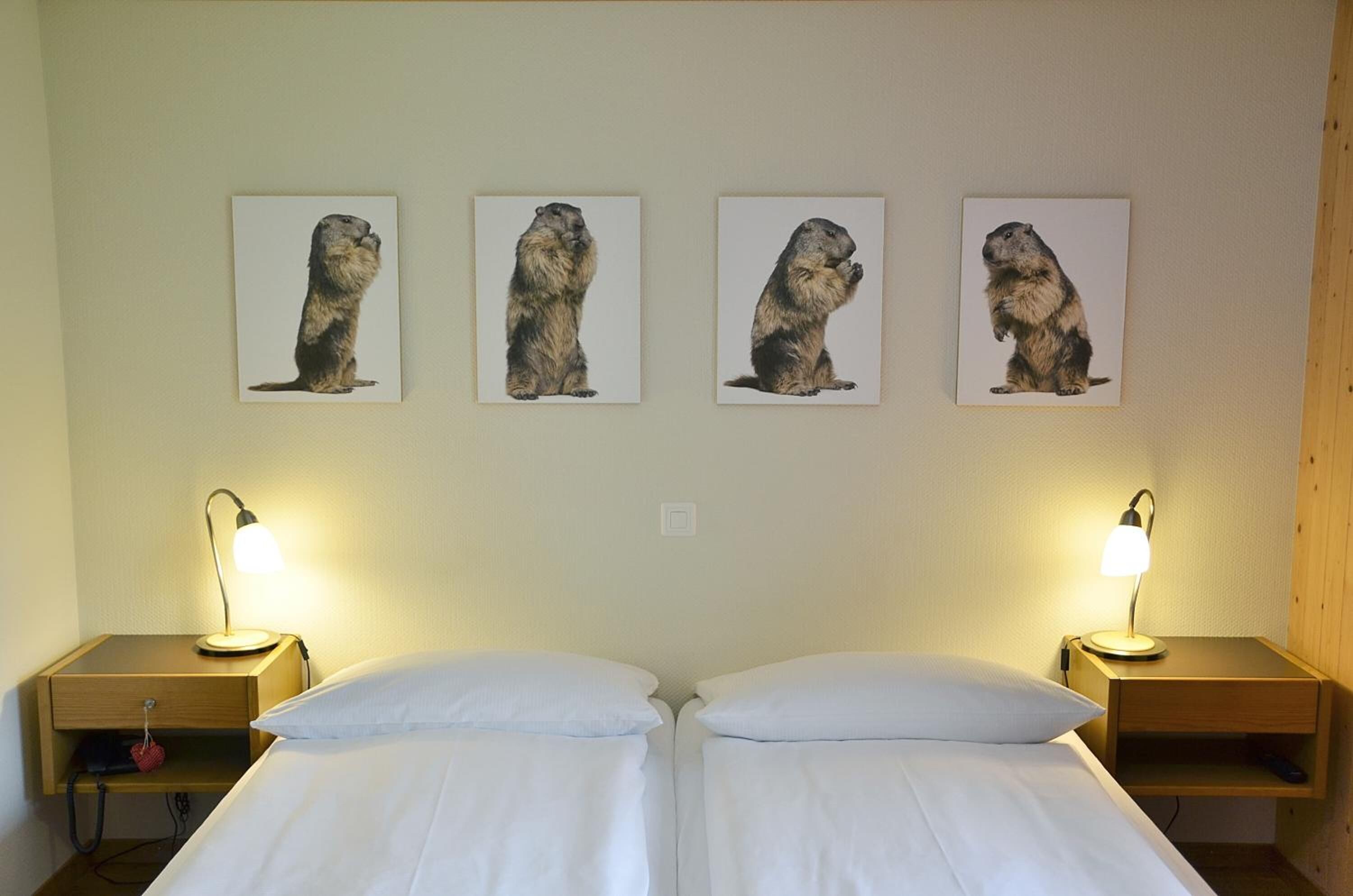 A room with two beds, each with a nightstand and a lamp. There are four framed pictures of groundhogs on the wall.