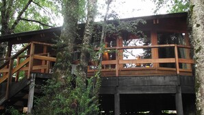 Exterior detail - Patagonia Mawida (Panguipulli)