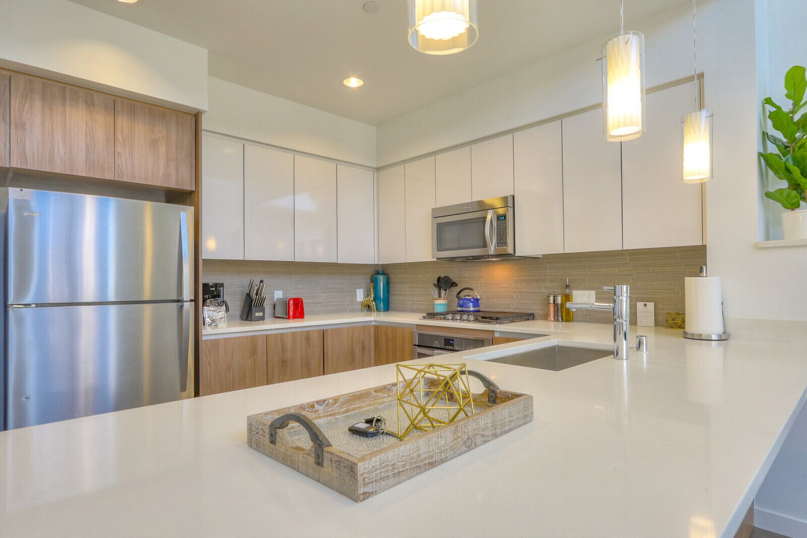 Oven, stovetop, dishwasher, coffee/tea maker