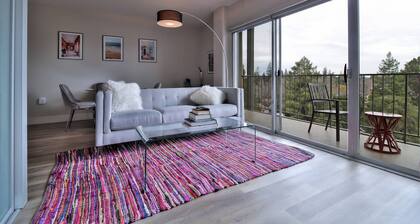 Top Floor 1BR Penthouse Suite in Palo Alto!