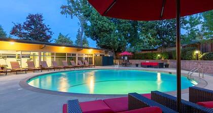 Huge & Bright Urban Flat Near Stanford w/ Pool!